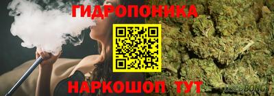 мдма Гусев