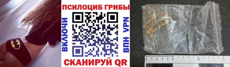 Галлюциногенные грибы Cubensis где найти Нижнеудинск