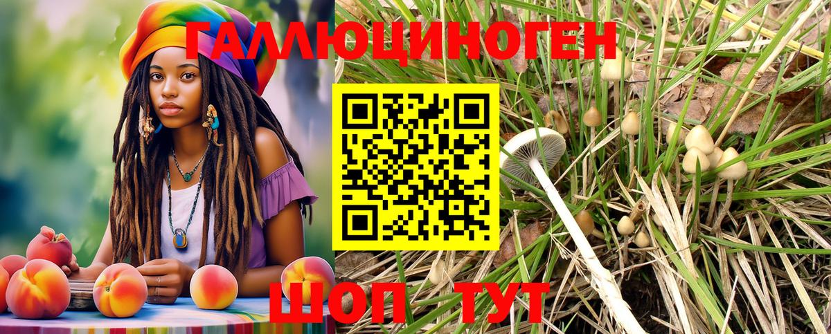 Псилоцибиновые грибы мухоморы Нижнеудинск